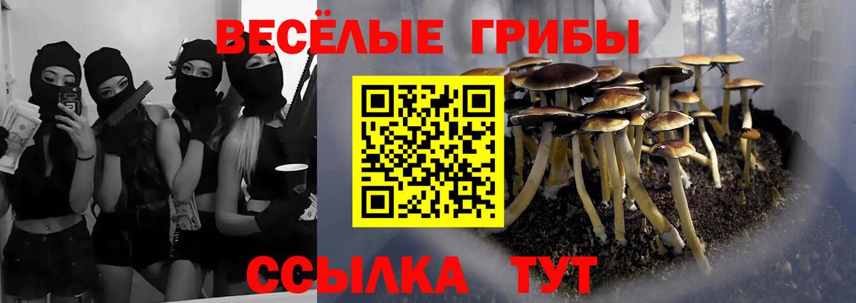 Прокопьевск  Галлюциногенные грибы мухоморы  Вход с VPN  Галлюциногенные грибы Psilocybe 